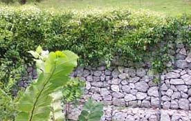 Gabion