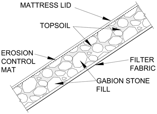 bio engineering graph