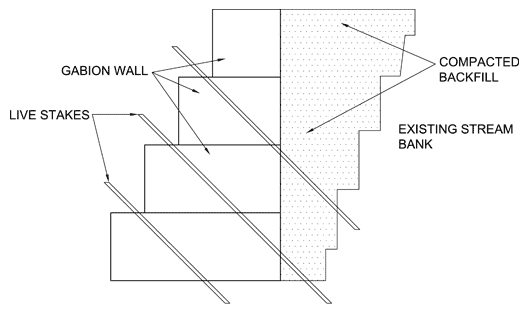 bio engineering graph