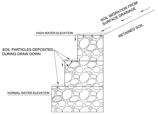 bio engineering graph