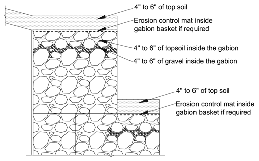 bio engineering graph