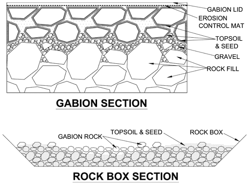 bio engineering graph